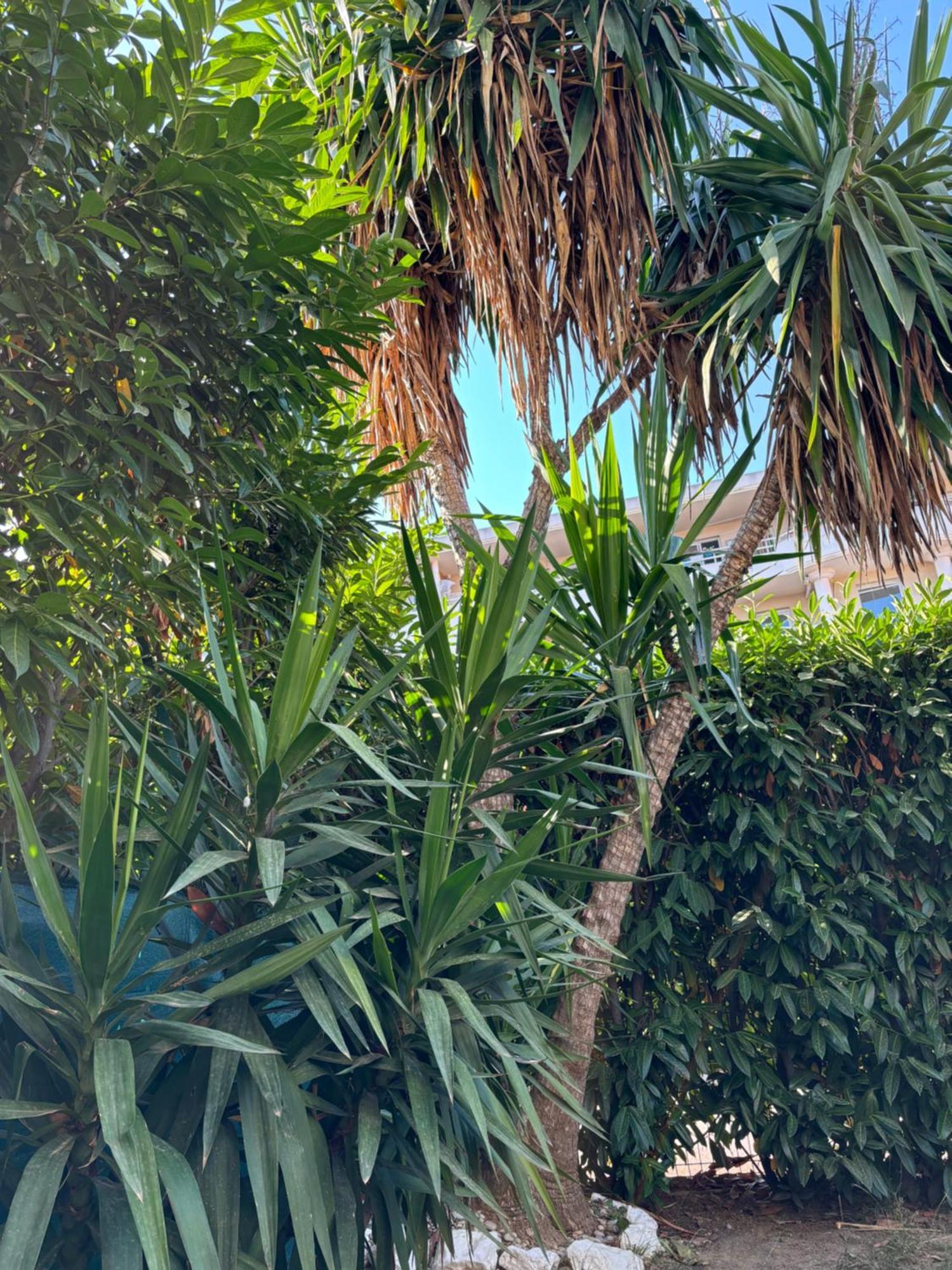 Beachside Apartment With Pool & Garden In Juan Les Pins Antibes Kültér fotó