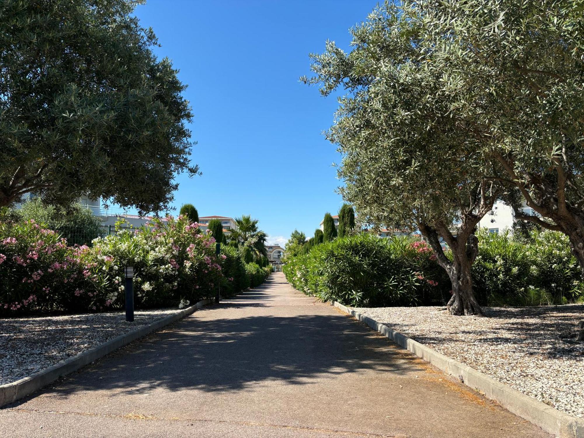 Beachside Apartment With Pool & Garden In Juan Les Pins Antibes Kültér fotó