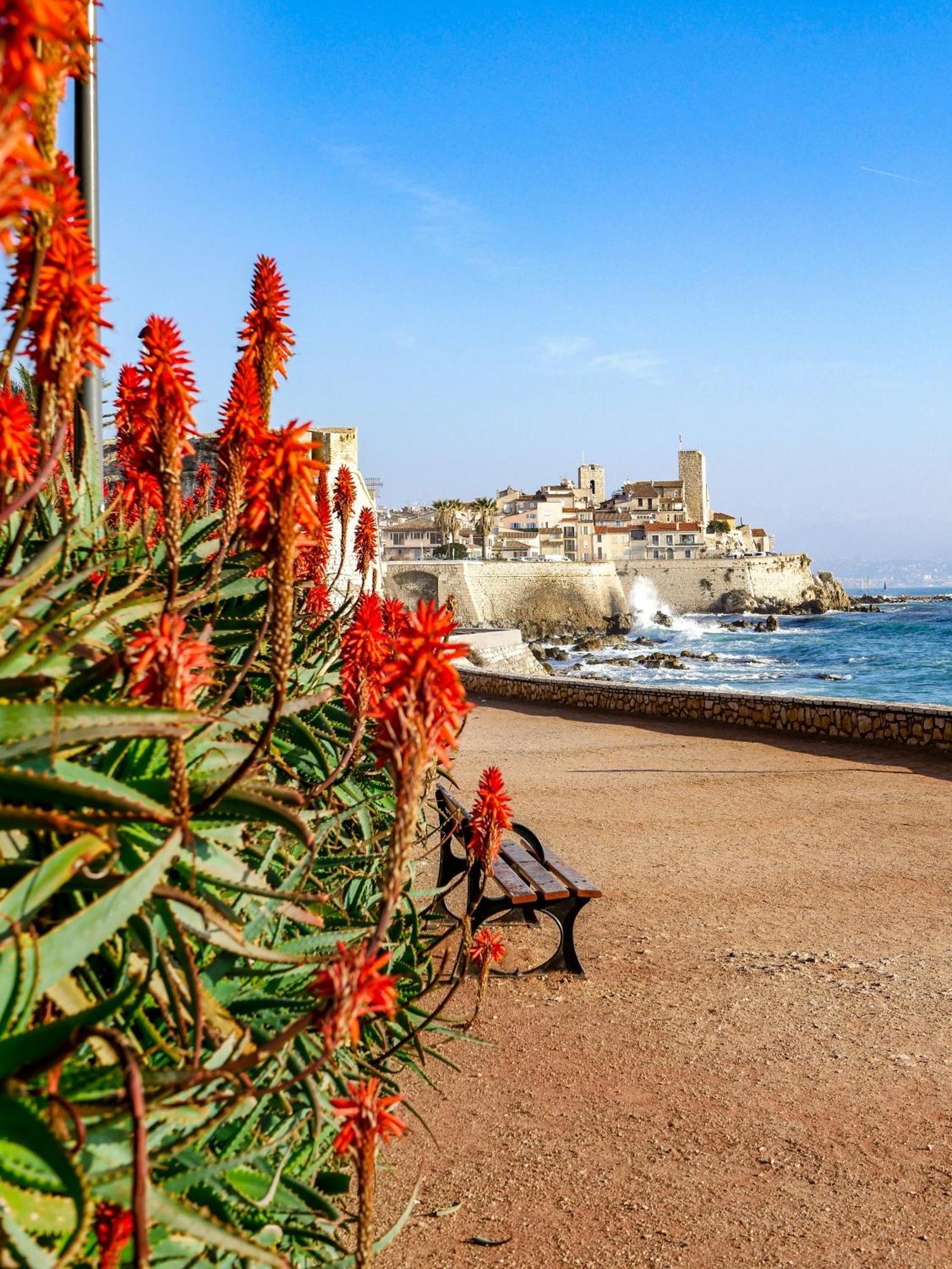 Beachside Apartment With Pool & Garden In Juan Les Pins Antibes Kültér fotó